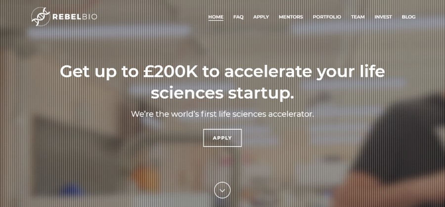 homepage_-_rebelbio Accelerator vs Incubator: What's the difference and which to choose