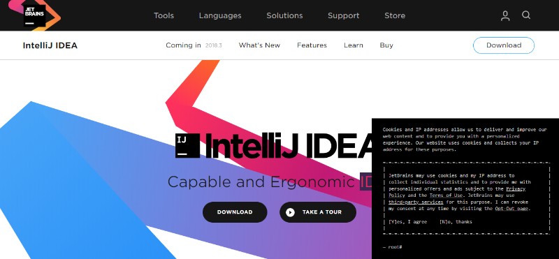 intellij_idea_the_java_ide_for_professional_developers_by_jetbrains 14 Best Web Development IDE in 2021 [CSS, HTML, JavaScript]