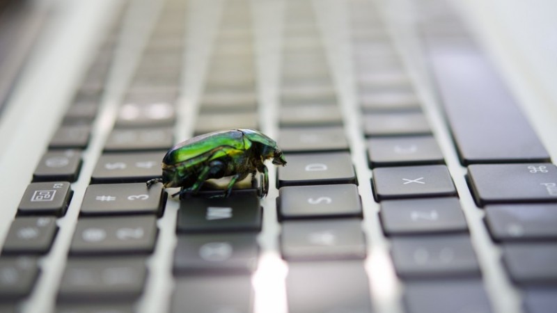 How to avoid software bugs