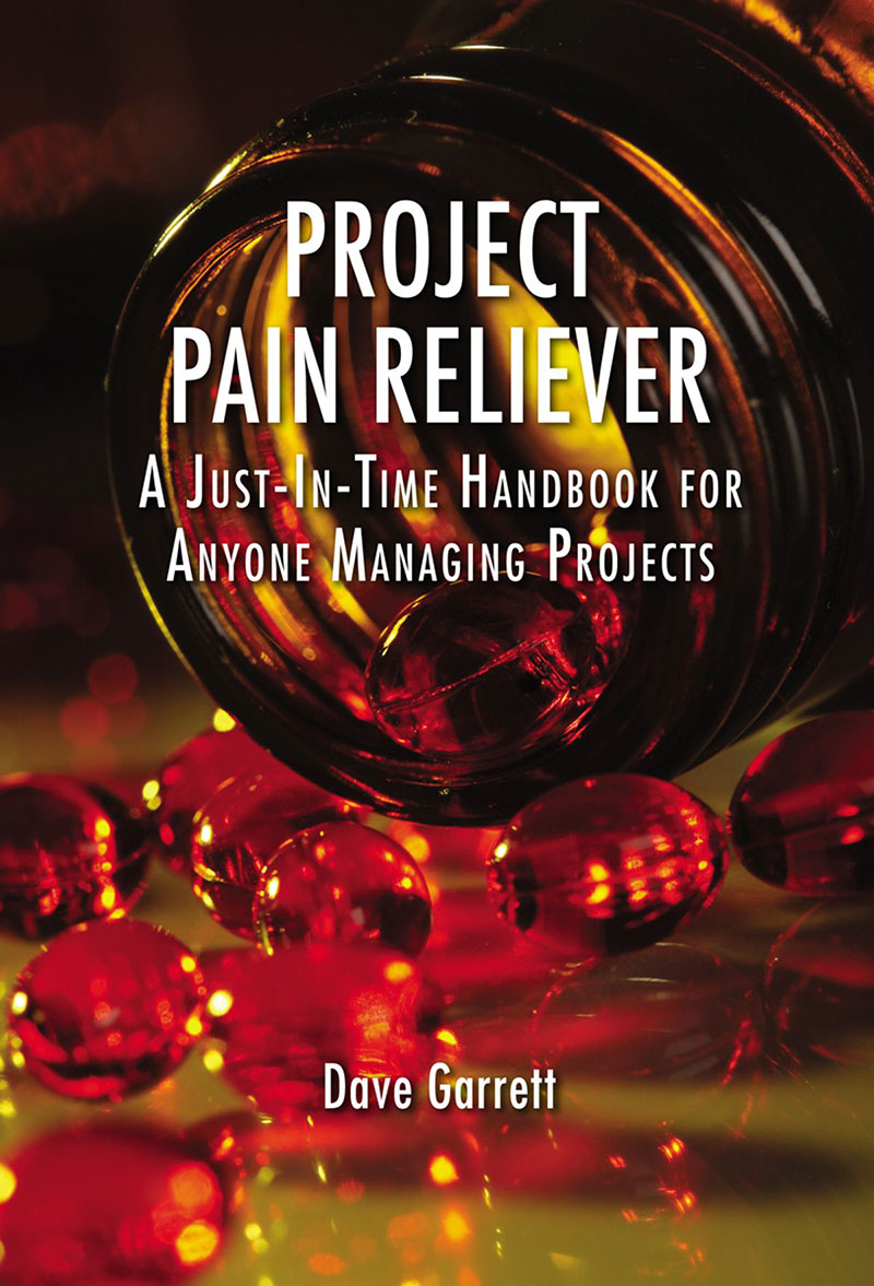 Project Pain Reliever: A Just-In-Time Handbook for Anyone Managing Projects