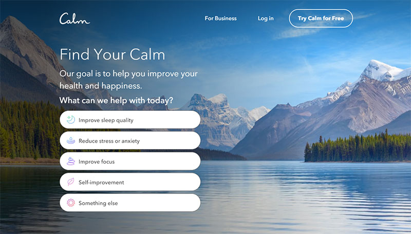 Calm 35 Successful Startups You Could Learn From