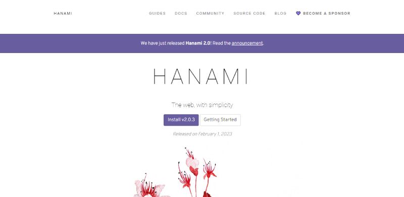 Hanami The 19 Best Django Alternatives for Front-End Developers