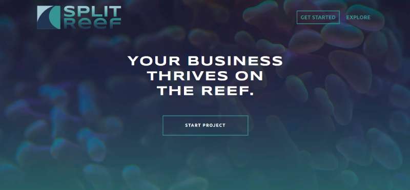 Split-Reef Top-Rated Web Development Companies In Ohio