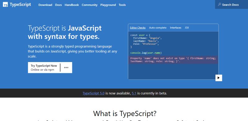 TypeScript-5 19 JavaScript Alternatives That are Taking Over the Dev Scene
