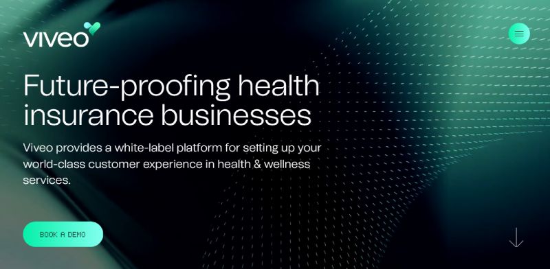 Viveo-Health Exploring the Top Tech Companies in Estonia