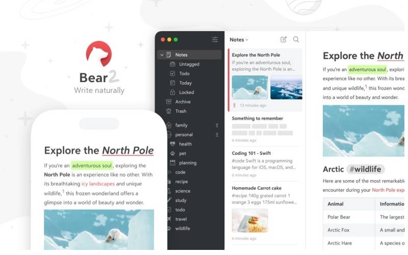 Bear Organized Digital Notetaking: Apps Like OneNote Reviewed