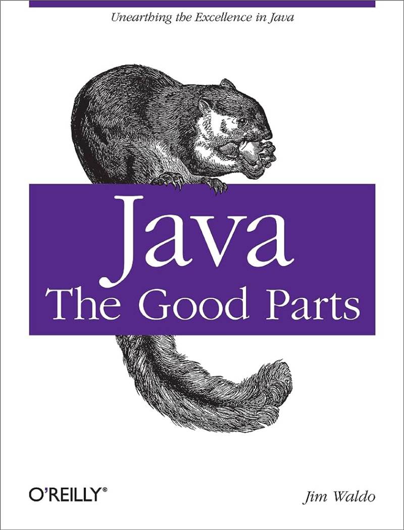 Java-The-Good-Parts-by-Jim-Waldo Essential Java Books for Aspiring Developers