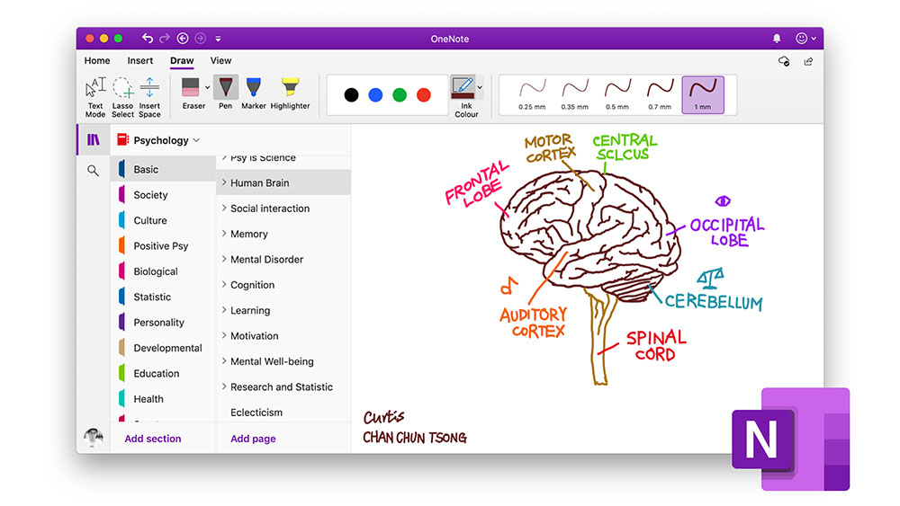 apps-like-onenote TMS: Tech Talk & Dev Tips to Navigate the Digital Landscape with Ease