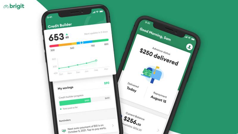 brigit Discover the Best Cash Advance Apps