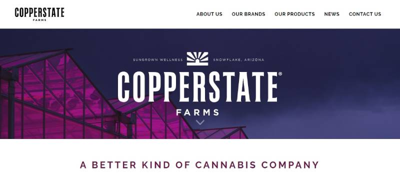Copperstate-Farms Ag Tech Companies: Farming in the Digital Age