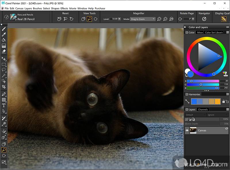 Corel-Painter Unleash Your Creativity with Apps Like Procreate