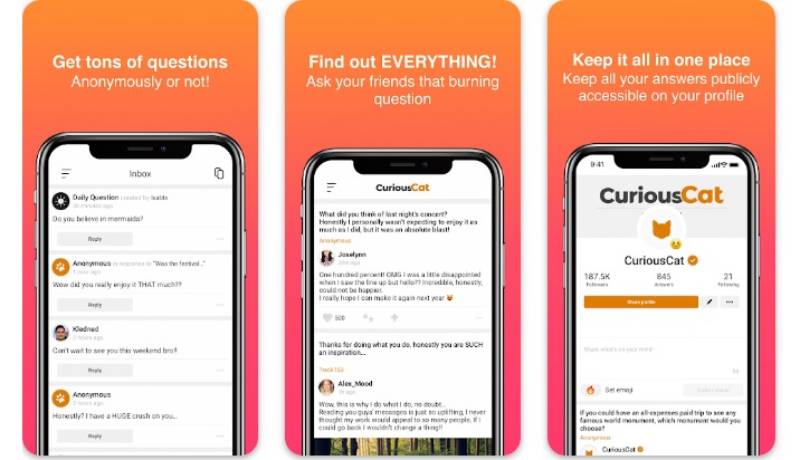 CuriousCat Confide Your Secrets: 12 Top Apps Like Whisper