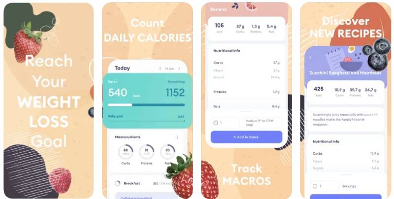My-Diet-Coach Journey to Fitness: Best Apps Like Weight Watchers