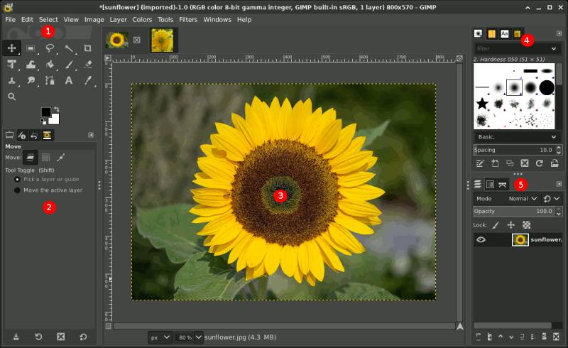 GIMP Design Digitally: Graphic Design Apps Like Adobe Illustrator