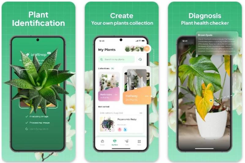 LeafSnap Innovative Apps Like Google Lens To Try