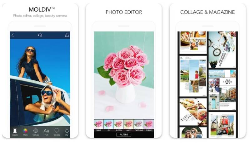 MOLDIV-Photo-Editor-Collage Creative Collages: Designing with Apps Like PicCollage