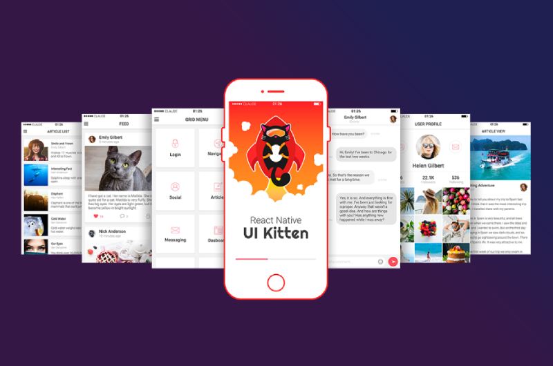 React-Native-UI-Kitten-1 Top React Native Libraries for App Development